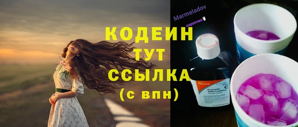 гашик Богданович