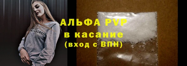 гашик Богданович
