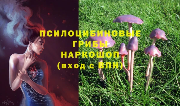 мдма Богородицк